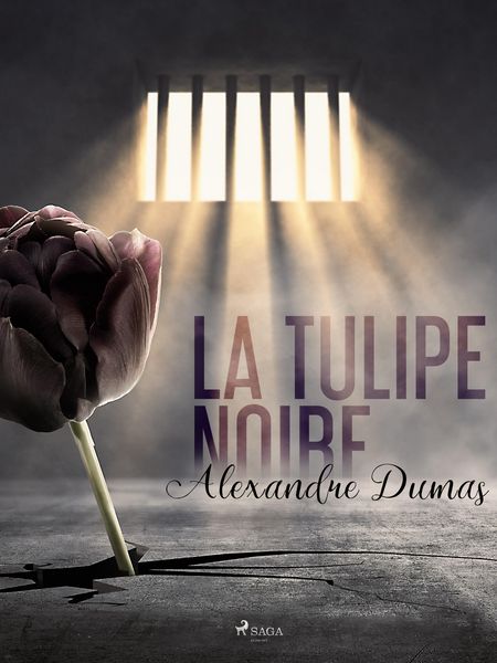 Produktbild: La Tulipe noire