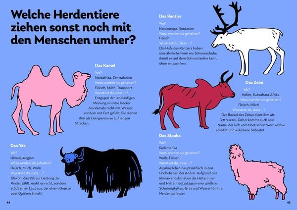 Produktbild: In den Bergen