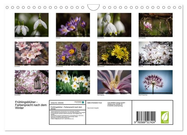 Produktbild: Fr&uuml;hlingsbl&uuml;her - Farbenpracht nach dem Winter (Wandkalender 2027 DIN A4 quer), CALVENDO Monatskalender