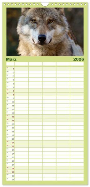 Produktbild: Familienplaner 2026 - W&ouml;lfe. Verwegene Anmut mit 5 Spalten (Wandkalender, 21 x 45 cm) CALVENDO