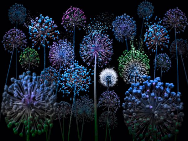 Produktbild: CALVENDO Puzzle Allium fantasia | 1000 Teile Lege-Gr&ouml;&szlig;e 64x48cm Foto-Puzzle f&uuml;r gl&uuml;ckliche Stunden
