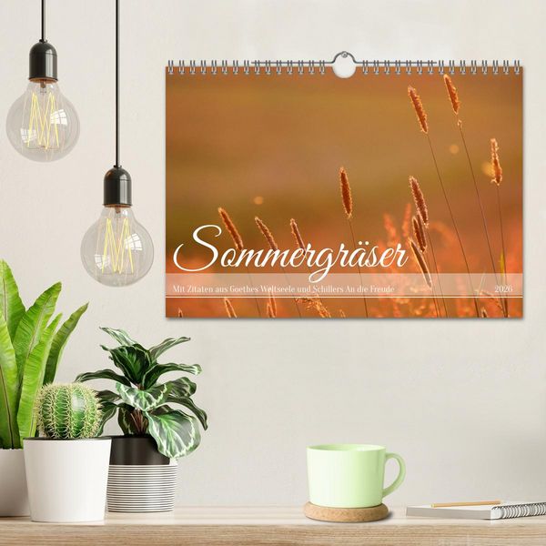 Produktbild: Sommergr&auml;ser (Wandkalender 2026 DIN A4 quer), CALVENDO Monatskalender