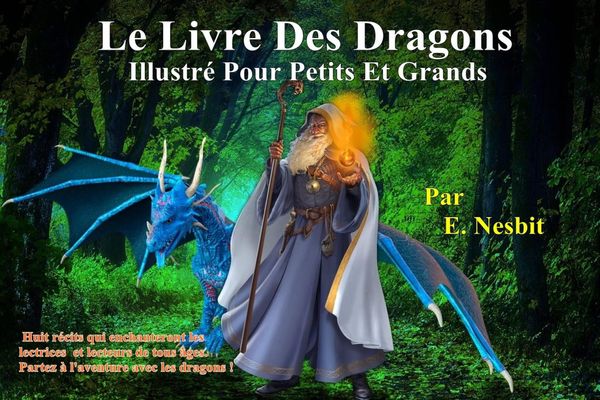 Produktbild: Le livre des dragons