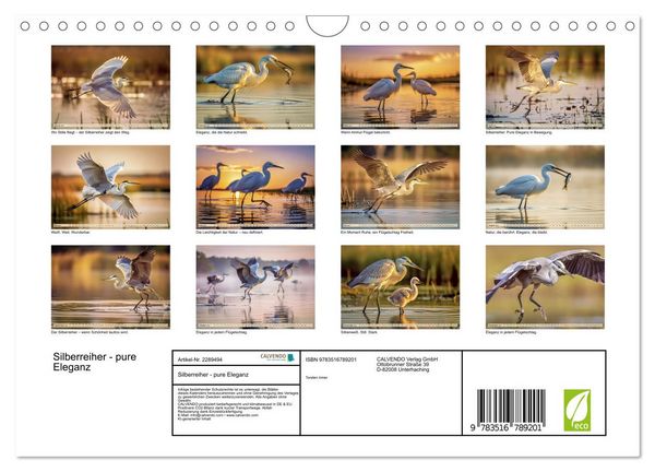 Produktbild: Silberreiher - pure Eleganz (Wandkalender 2027 DIN A4 quer), CALVENDO Monatskalender