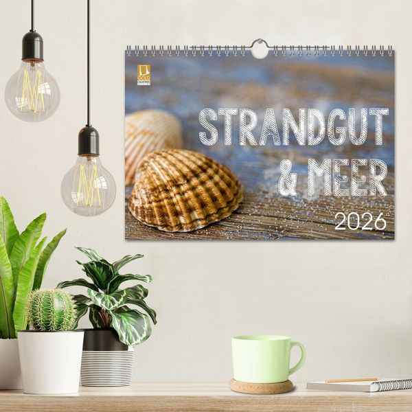 Produktbild: Strandgut und Meer 2026 (Wandkalender 2026 DIN A4 quer), CALVENDO Monatskalender