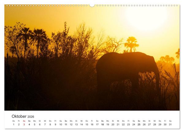 Produktbild: Botswana - Grandiose Wildnis (Wandkalender 2026 DIN A2 quer), CALVENDO Monatskalender