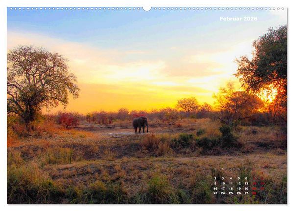 Produktbild: Faszinierende Tierwelt des Kruger National Parks (hochwertiger Premium Wandkalender 2026 DIN A2 quer), Kunstdruck in Hochglanz