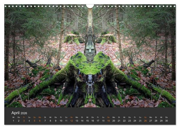 Produktbild: Spiegelwelten - Im Reich der Naturwesen (Wandkalender 2026 DIN A3 quer), CALVENDO Monatskalender