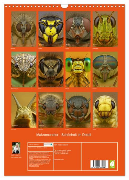 Produktbild: Makromonster - Sch&ouml;nheit im Detail (Wandkalender 2026 DIN A3 hoch), CALVENDO Monatskalender