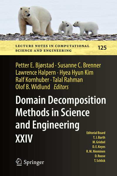 Produktbild: Domain Decomposition Methods in Science and Engineering XXIV