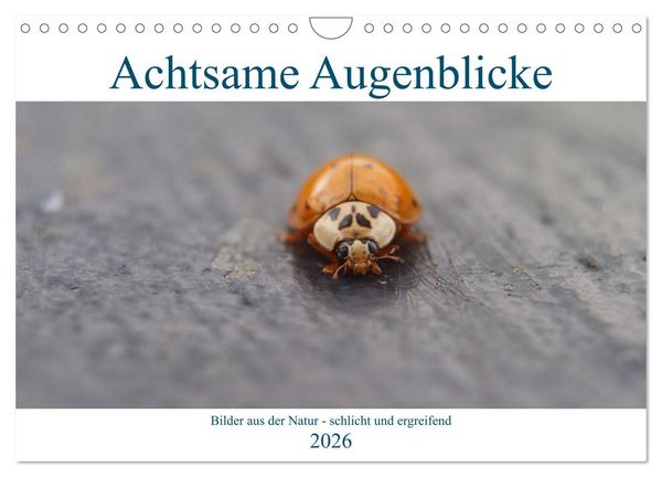 Produktbild: Achtsame Augenblicke (Wandkalender 2026 DIN A4 quer), CALVENDO Monatskalender