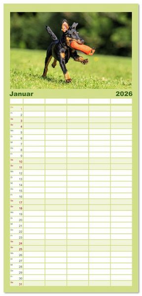 Produktbild: Familienplaner 2026 - Deutscher Terrier - ein leidenschaftlicher J&auml;ger mit 5 Spalten (Wandkalender, 21 x 45 cm) CALVENDO