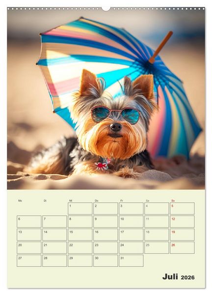 Produktbild: Yorkshire Terrier. Fr&ouml;hliche Energieb&uuml;ndel in Aktion (Wandkalender 2026 DIN A2 hoch), CALVENDO Monatskalender