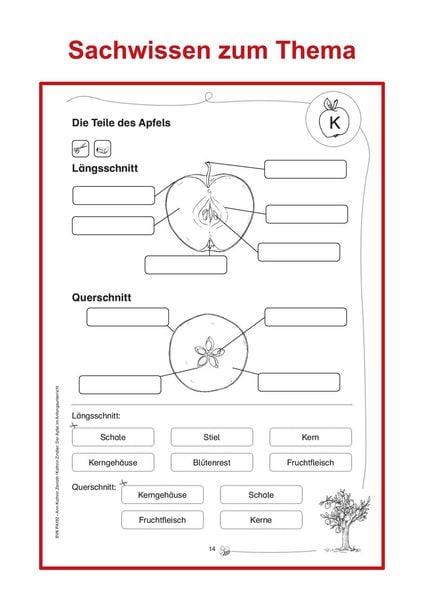 Produktbild: Der Apfel im Anfangsunterricht
