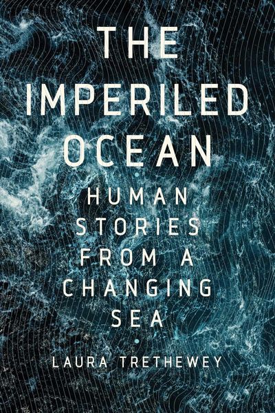 Produktbild: Imperiled Ocean