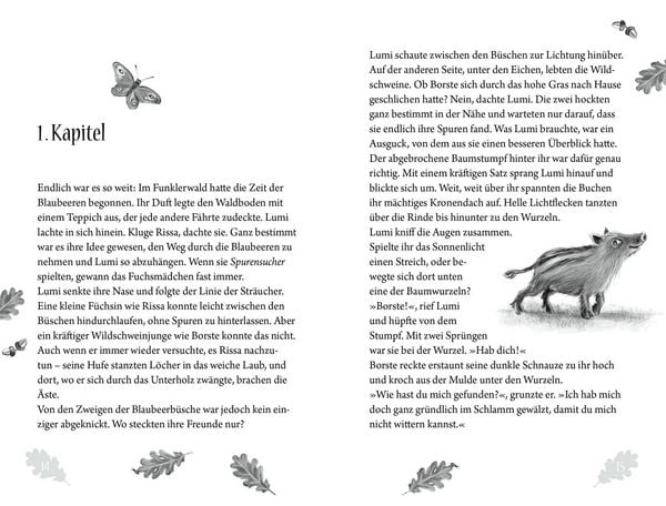 Produktbild: Funklerwald