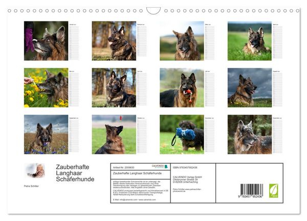 Produktbild: Zauberhafte Langhaar Sch&auml;ferhunde (Wandkalender 2026 DIN A3 quer), CALVENDO Monatskalender