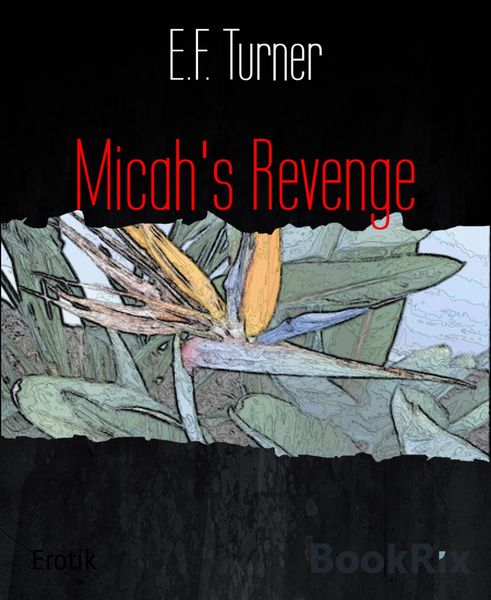 Produktbild: Micah's Revenge