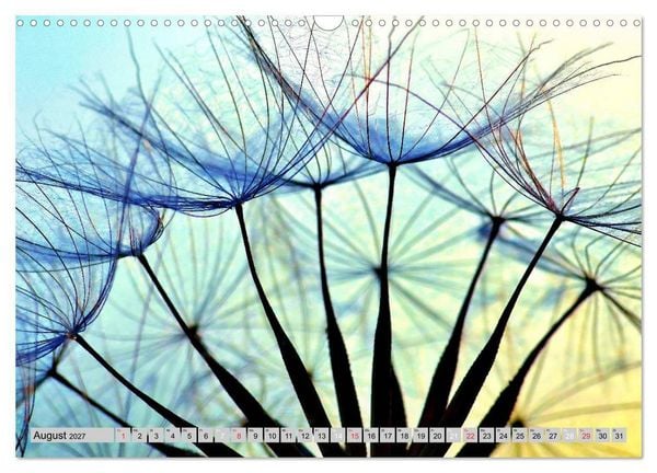 Produktbild: PusteblumenZauber (Wandkalender 2027 DIN A3 quer), CALVENDO Monatskalender