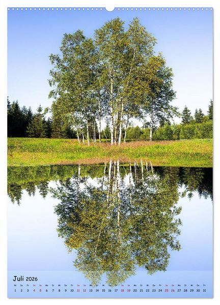 Produktbild: Spiegelb&auml;ume (hochwertiger Premium Wandkalender 2026 DIN A2 hoch), Kunstdruck in Hochglanz