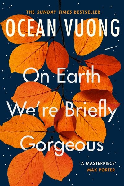 Produktbild: On Earth We're Briefly Gorgeous