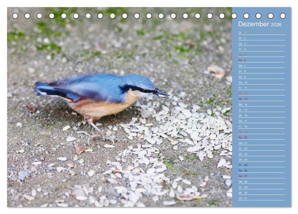 Produktbild: Gefiederte Gartenfreunde (Tischkalender 2026 DIN A5 quer), CALVENDO Monatskalender