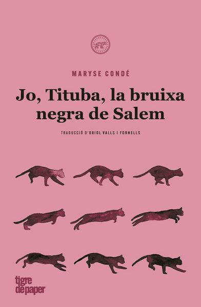 Produktbild: Jo, Tituba, bruixa negra de Salem