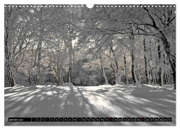Produktbild: Collection Terre AUBRAC (Calendrier mural 2026 DIN A3 vertical), CALVENDO calendrier mensuel