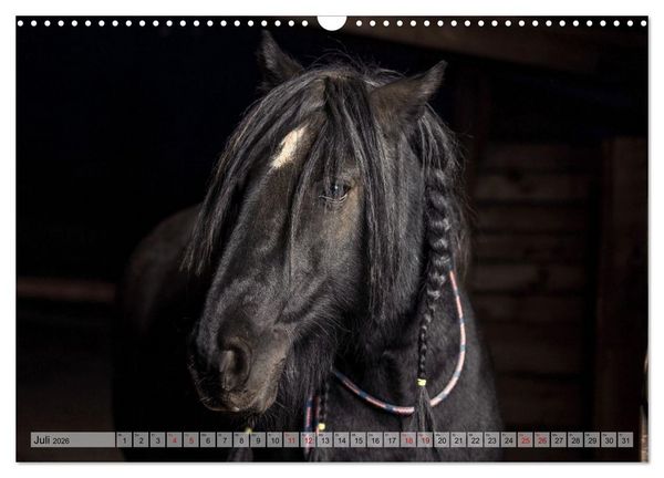 Produktbild: Colorful Horse Ranch &ndash; Wo Tinker posen und Ponys l&auml;cheln (Wandkalender 2026 DIN A3 quer), CALVENDO Monatskalender
