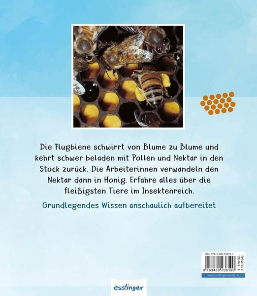 Produktbild: Meine gro&szlig;e Tierbibliothek: Die Biene