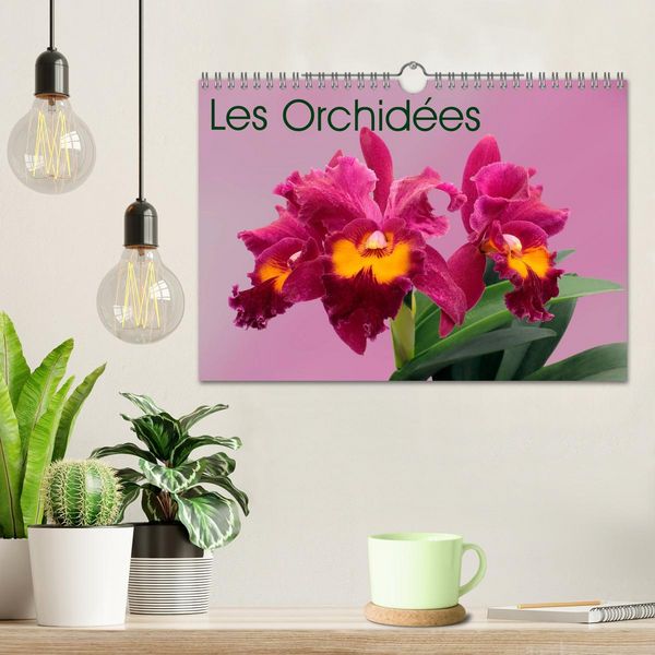 Produktbild: Les Orchid&eacute;es (Calendrier mural 2026 DIN A4 vertical), CALVENDO calendrier mensuel