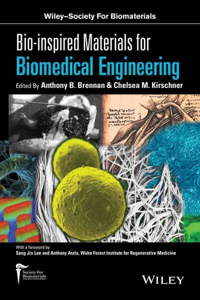 Produktbild: Bio-inspired Materials for Biomedical Engineering