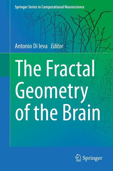 Produktbild: The Fractal Geometry of the Brain