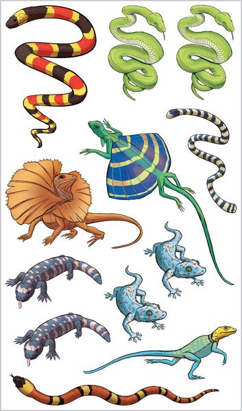 Produktbild: Slithering, Scaly Tattoo Snakes & Other Reptiles