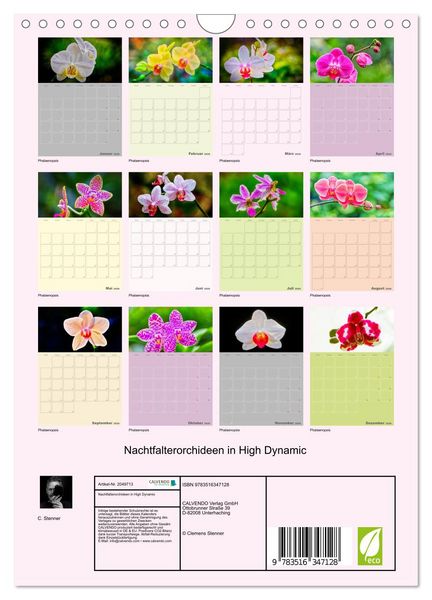 Produktbild: Nachtfalterorchideen in High Dynamic (Wandkalender 2026 DIN A4 hoch), CALVENDO Monatskalender