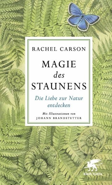 Produktbild: Magie des Staunens