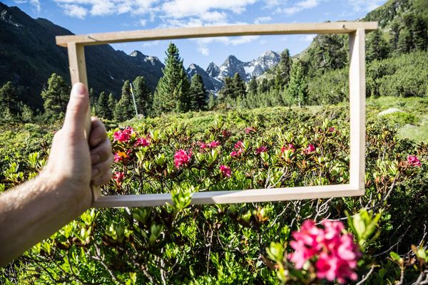 Produktbild: Die Reise des Wanderimkers