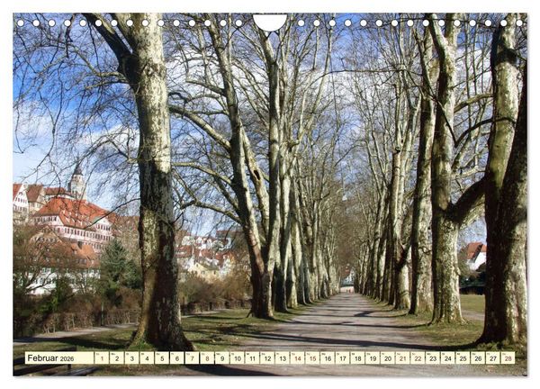 Produktbild: Unterwegs in T&uuml;bingen (Wandkalender 2026 DIN A4 quer), CALVENDO Monatskalender