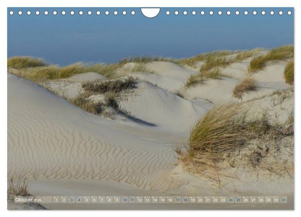 Produktbild: Texel. Neue D&uuml;nen (Wandkalender 2026 DIN A4 quer), CALVENDO Monatskalender