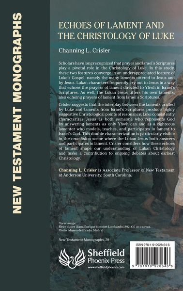 Produktbild: Echoes of Lament in the Christology of Luke's Gospel