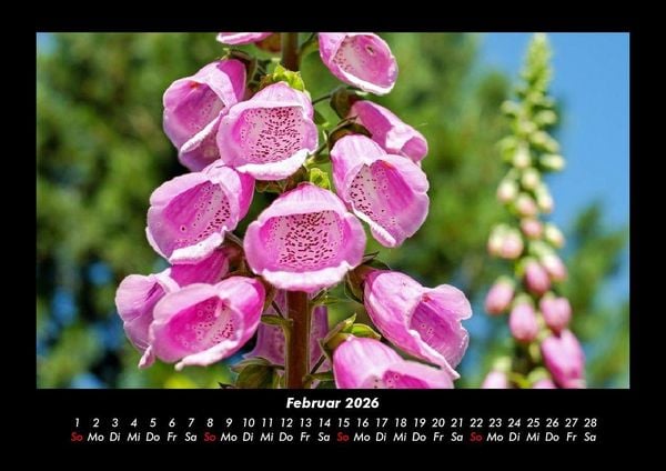 Produktbild: Blumenkalender 2026 Fotokalender DIN A3