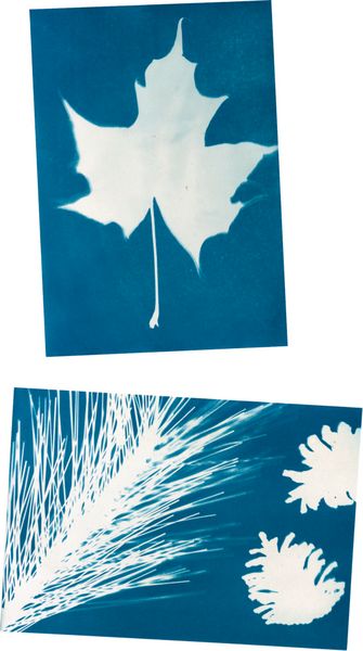 Produktbild: Sonnendruck-Papier