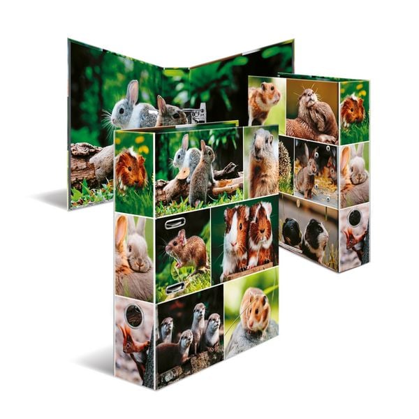 HERMA Motivordner Nagetiere DIN A4 Rückenbreite 7cm