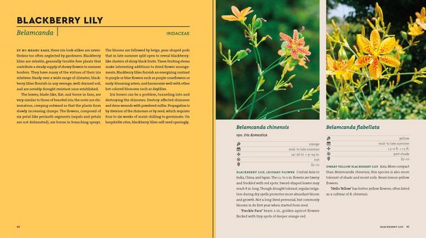 Produktbild: Perennials for the Southeast