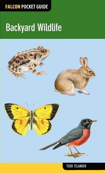 Produktbild: Backyard Wildlife