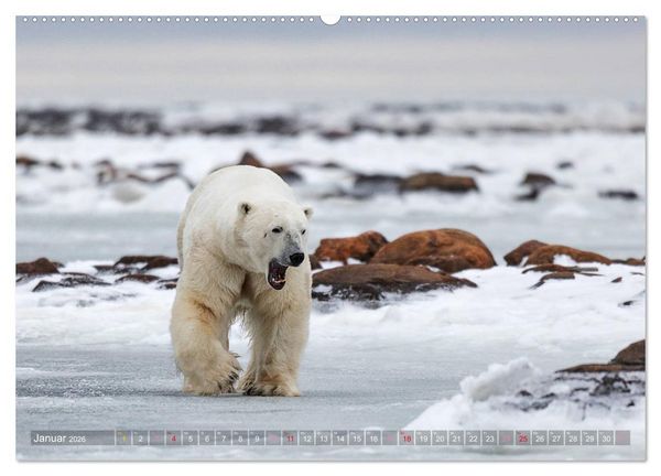 Produktbild: AN DER HUDSON BAY (hochwertiger Premium Wandkalender 2026 DIN A2 quer), Kunstdruck in Hochglanz