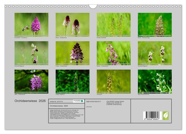 Produktbild: Orchideenwiese 2026 (Wandkalender 2026 DIN A3 quer), CALVENDO Monatskalender