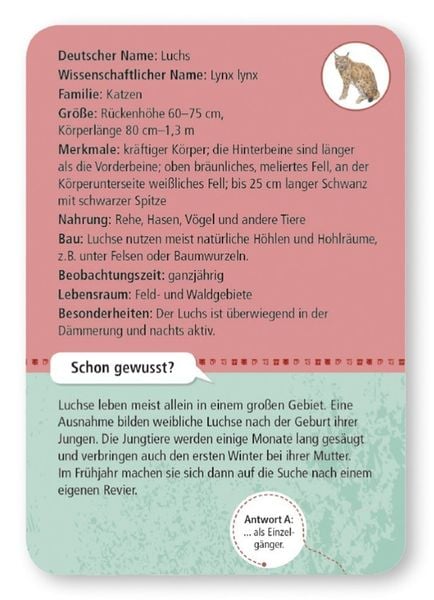 Produktbild: Expedition Natur - 50 heimische Wald- & Wildtiere