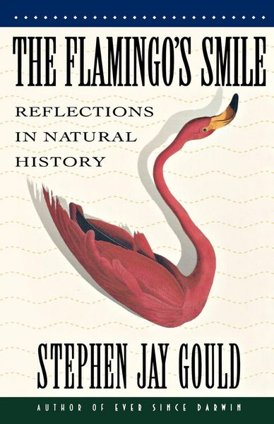 Produktbild: The Flamingo's Smile