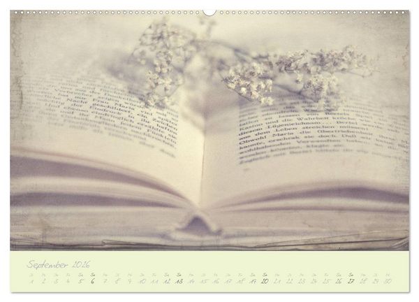 Produktbild: Shabby ist Chic (Wandkalender 2026 DIN A2 quer), CALVENDO Monatskalender